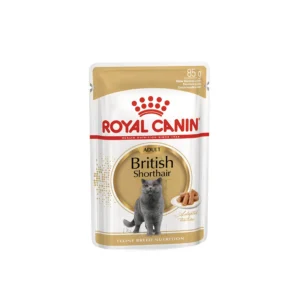 Royal Canin British Shorthair Adult 12x85 G (Yaş Mama)