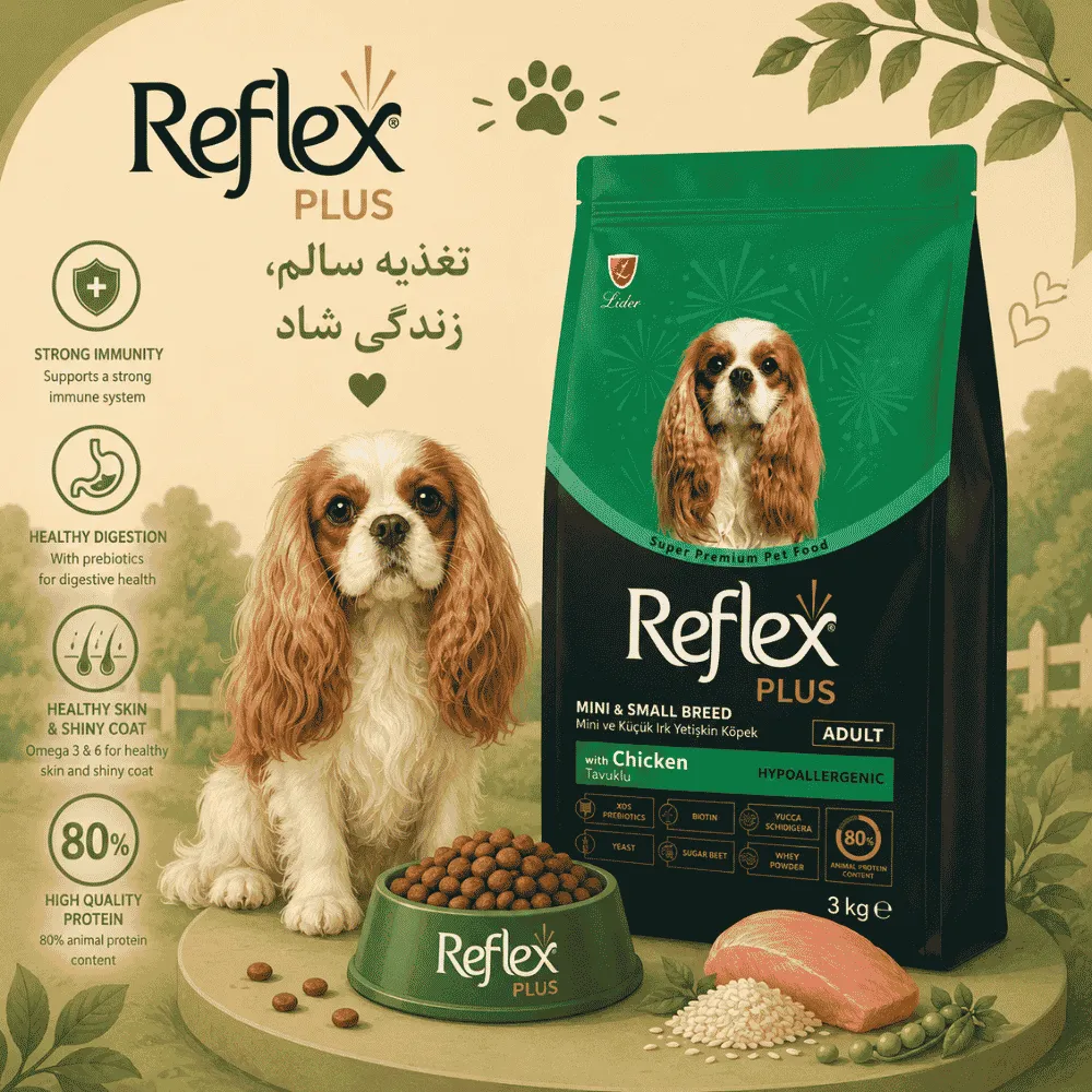 Reflex